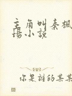 主角叫秦枫的官场小说