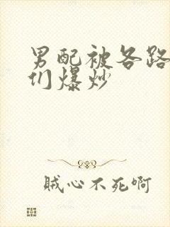 男配被各路大佬们爆炒