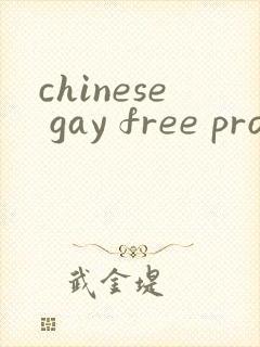 chinese gay free pron