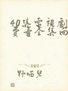 40集电视剧免费看全集向风而行19集封面
