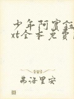 少年阿宾钰慧txt全本免费阅读