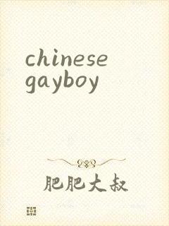 chinesegayboy封面