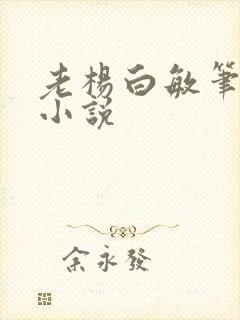 老杨白敏笔趣阁小说