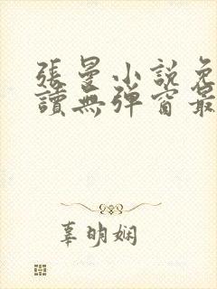 张曼小说免费阅读无弹窗最新章节