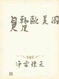 日韩欧美国产大尺度