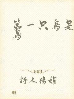 第一只鸟是什么鸟封面