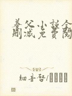 养父小说全文无删减免费阅读完整版封面