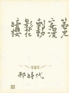 暗影刺客第四季樱花动漫免费观看