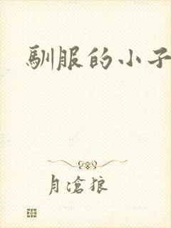 驯服的小子4封面