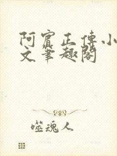 阿宾正传小说全文笔趣阁封面