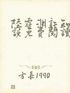 陆霆渊许知夏小说免费阅读最新章节