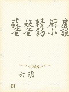 苏妖精厨房爹爹爸爸的小说