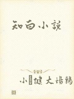 知白小说