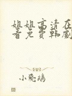 姐姐高清在线观看免费韩剧