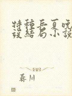特种兵夏晚晚项竣结局小说