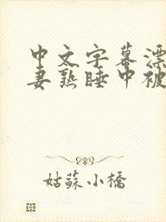 中文字幕漂亮人妻熟睡中被公侵犯的