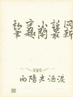 私密小说网小说笔趣阁最新章节更新时间