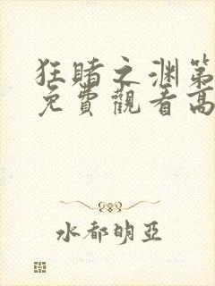 狂赌之渊第一季免费观看高清