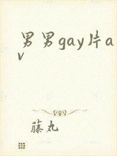男男gay片av