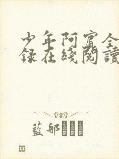 少年阿宾全文目录在线阅读