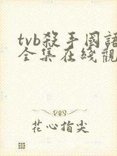 tvb杀手国语全集在线观看