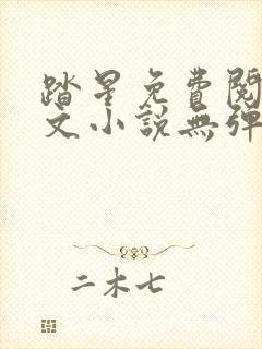 踏星免费阅读全文小说无弹窗