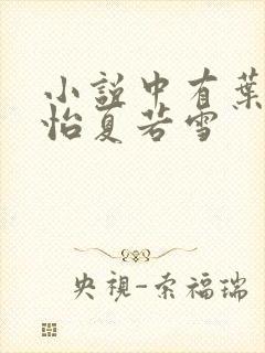 小说中有叶辰孙怡夏若雪