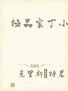 极品家丁小说