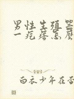 男性生殖器上长一疙瘩怎么回事