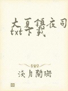 大夏镇夜司小说txt下载