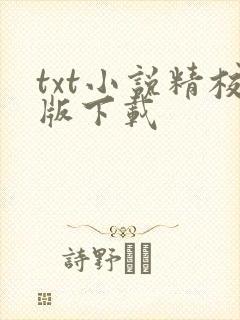 txt小说精校版下载封面