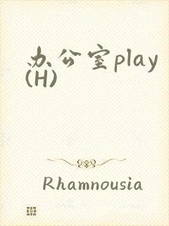 办公室play(H)封面