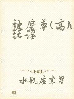 被魔尊(高h)玩淫