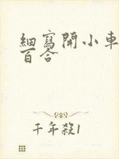 细写开小车车的百合封面
