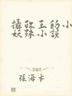 摄政王的小闲妻妖殊小说