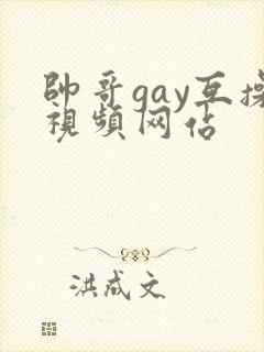 帅哥gay互操视频网站