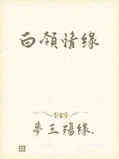 白领情缘封面