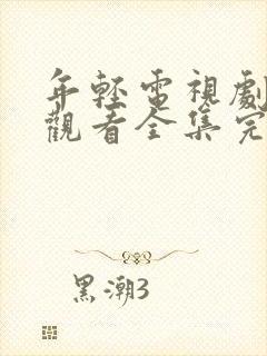 年轻电视剧免费观看全集完整版高清