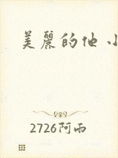 美丽的他 小说封面