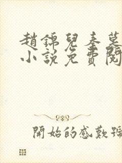 赵锦儿秦慕修的小说免费阅读全文封面