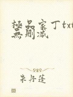 极品家丁txt无删减