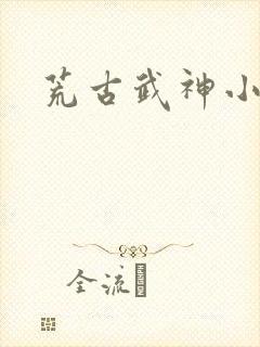 荒古武神小说