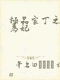 极品家丁之册母为妃