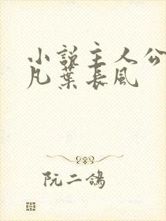 小说主人公叫叶凡叶长风