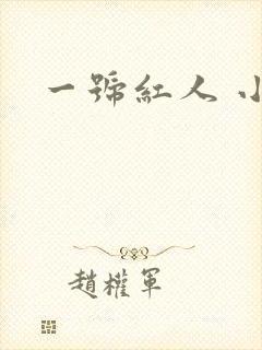 一号红人 小说封面
