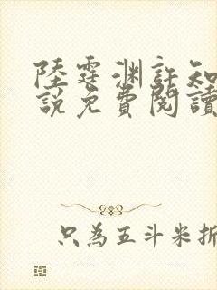 陆霆渊许知夏小说免费阅读最新章节