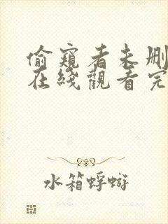 偷窥者未删减版在线观看完整版