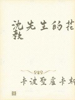 沈先生的花式管教封面