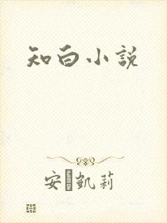 知白小说