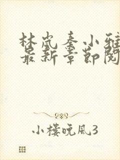 林岚秦小雅小说最新章节阅读林岚秦小雅小说封面